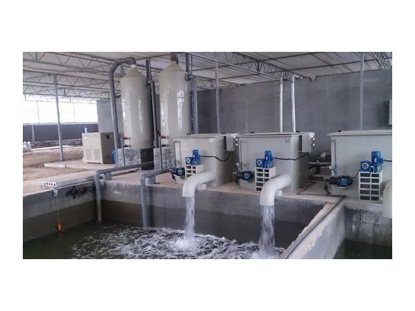 循環(huán)水除垢器，選沃肯電子除垢儀